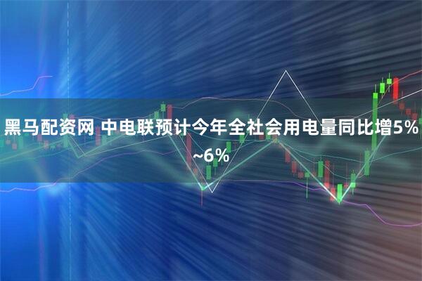 黑马配资网 中电联预计今年全社会用电量同比增5%~6%