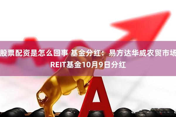 股票配资是怎么回事 基金分红:易方达华威农贸市场REIT基金10月9日分红