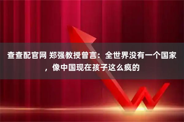 查查配官网 郑强教授曾言:全世界没有一个国家,像中国现在孩子这么疯的