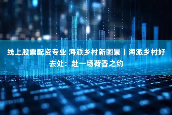 线上股票配资专业 海派乡村新图景丨海派乡村好去处：赴一场荷香之约